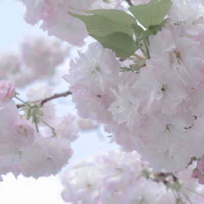 Furry插画手绘技巧干货兽圈群